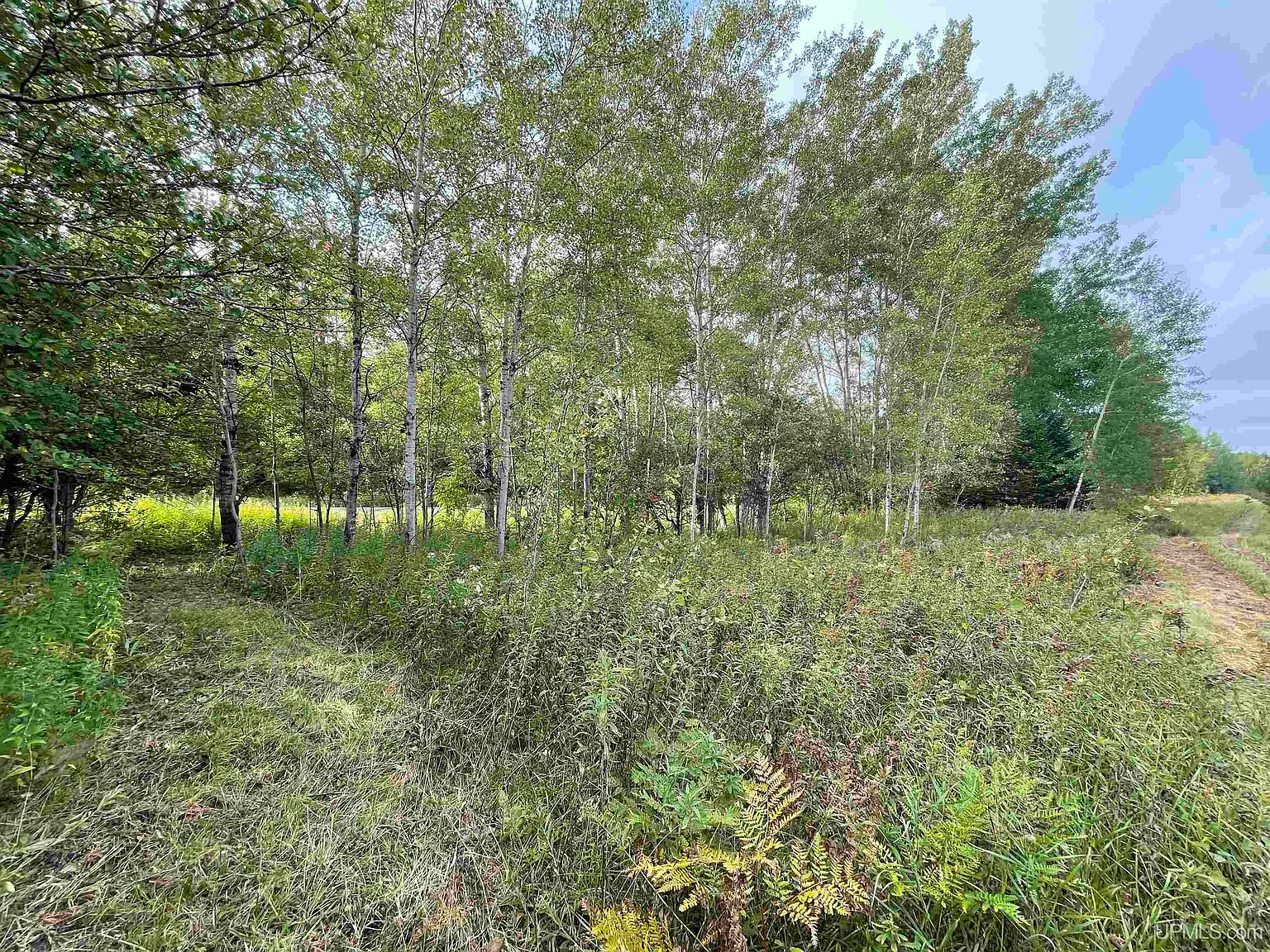 LOT Cadeau Rd D, Baraga, MI 49908 MLS 50123567 Zillow