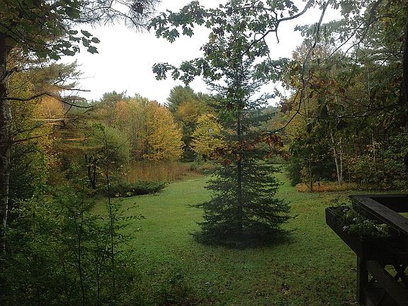 View from living room