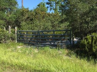 214 Black Lake Rd, Osteen, FL 32764