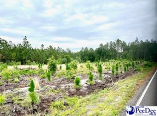 Ousleydale Rd, Hartsville, SC 29550