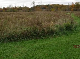 10385 E Eddy Rd, Bellevue, MI 49021