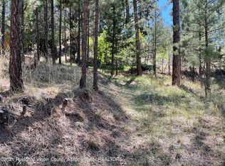 104 High St, Ruidoso, NM 88345