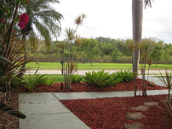 View from Front Door