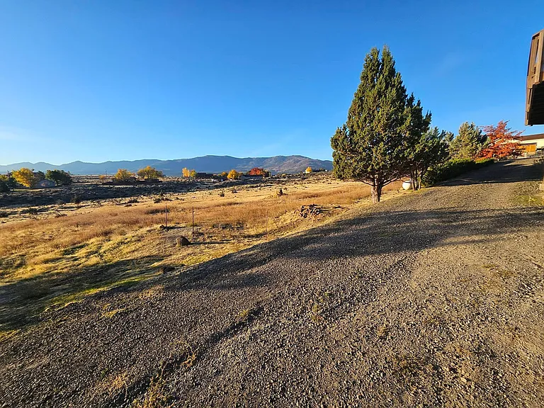 View of gravel driveway