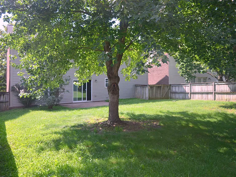 Lare fenced backyard