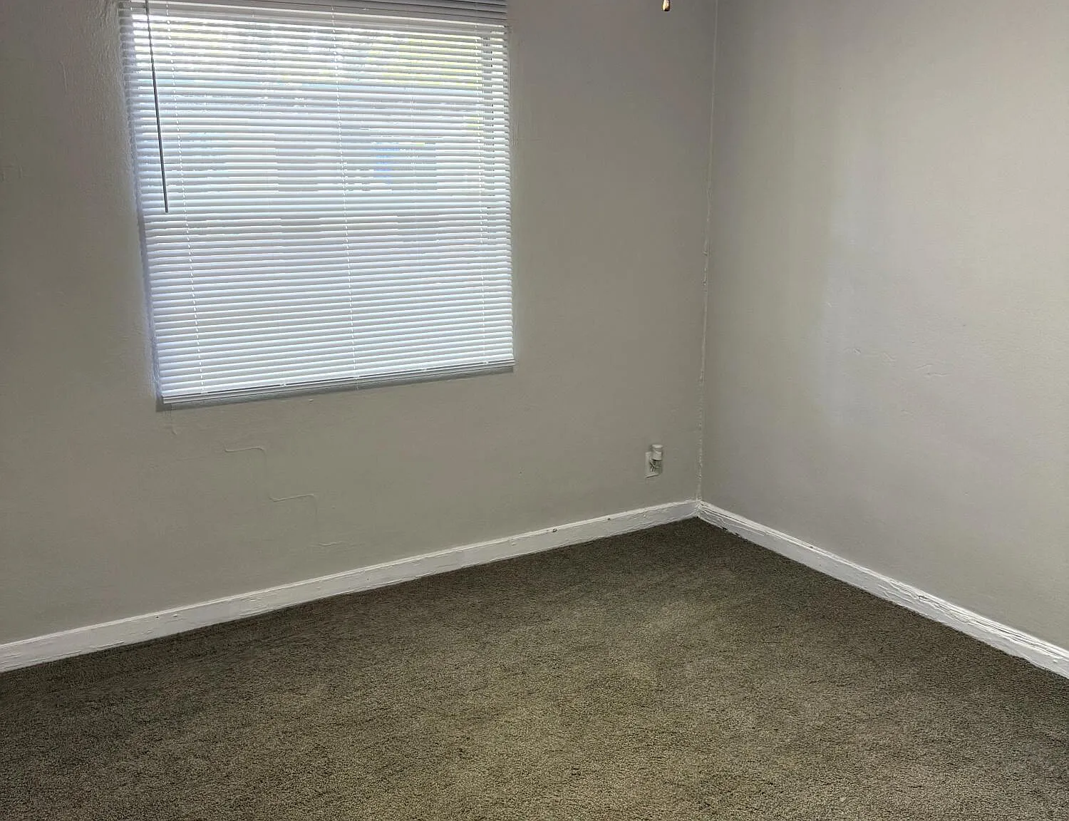 3 bed, 1.0 bath, 800 sqft, $1,150 — Photo 4