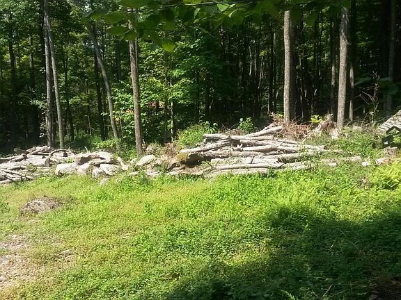2nd image of Quarry Road