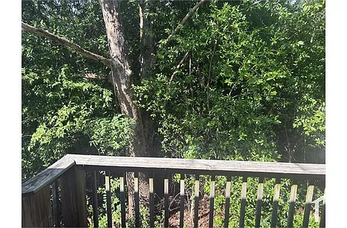 142 Calvin Ct #C Photo 1