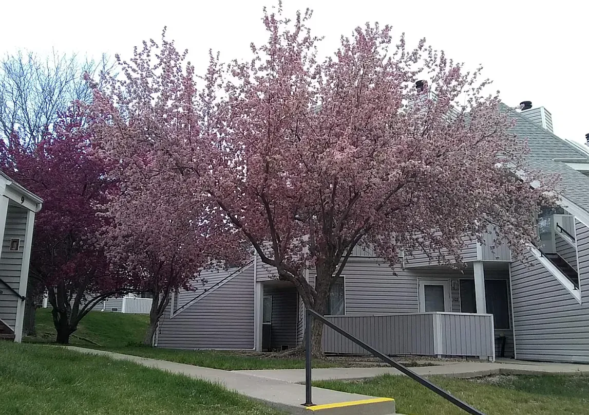 Huron St — Photo 3