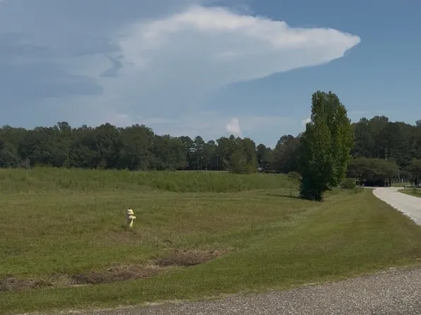 LOT 4 Chesson Ct, Fitzpatrick, AL 36029