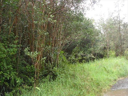 2nd image of 9 Road Koloa Maoli