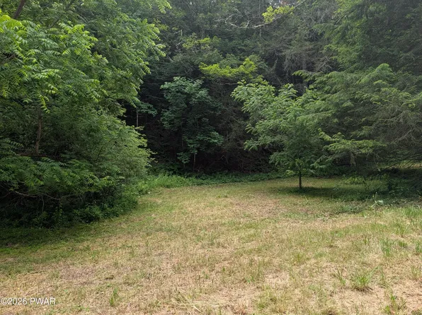 103 Hopkins Rd, Tyler Hill, PA 18469