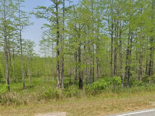 11430 Main Hwy, Olar, SC 29843
