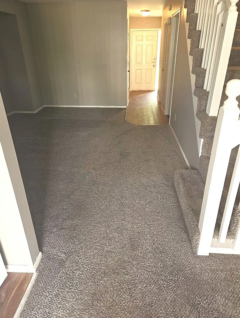 Living Room, Entryway - 705 S 20th St