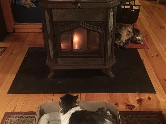 Woodstove
