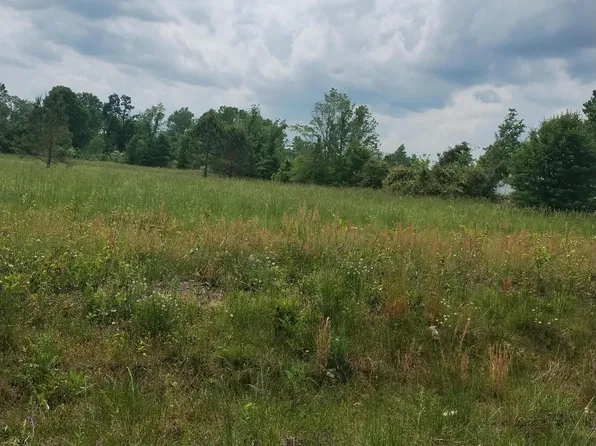 0 Old Waynesboro Rd Lot 3, Waynesboro, GA 30830