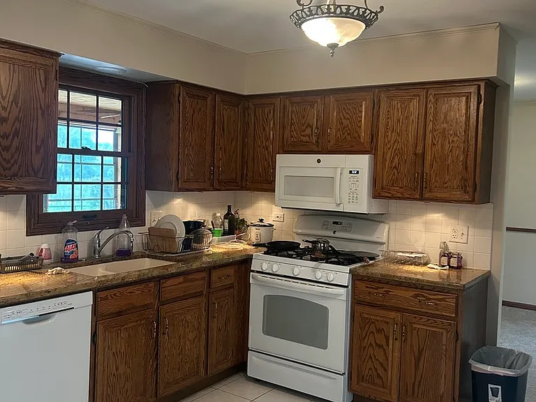 527 Springwood Ln — Photo 4