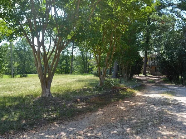 221 Sara Grace Ln, Eclectic, AL 36024