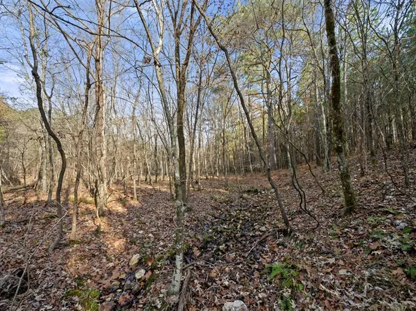 317 Marked Pine Ln, Broken Bow, OK 74728
