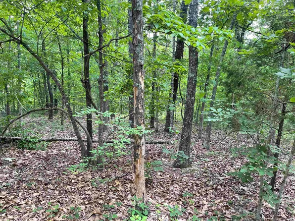 River Oaks Trl, Mammoth Spring, AR 72554