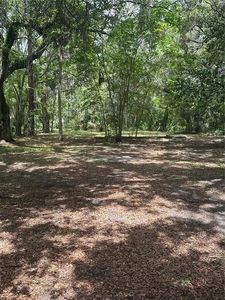 4500 N Lenethe Point LOT 20, Crystal River, FL, 34428