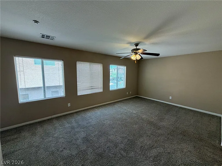 6657 Colorado Spruce St — Photo 10