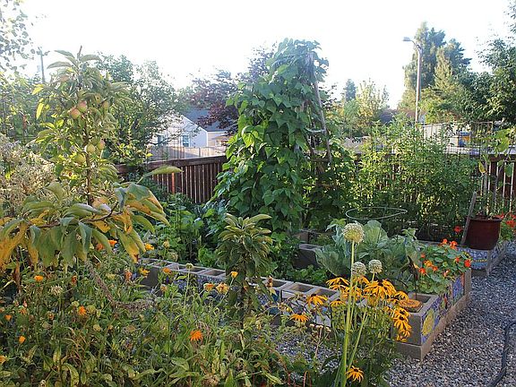 looking S from garden