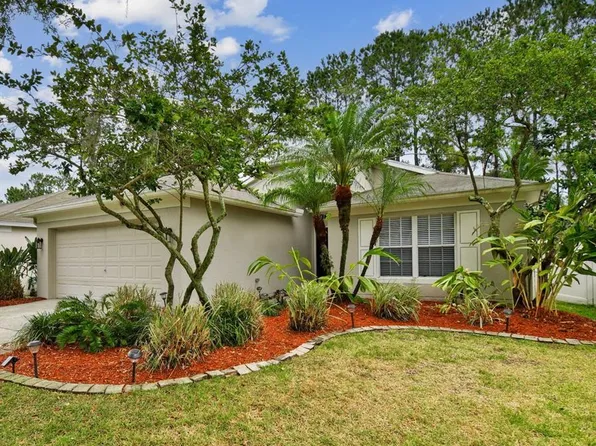 4452 Marchmont Blvd, Land O Lakes, FL 34638
