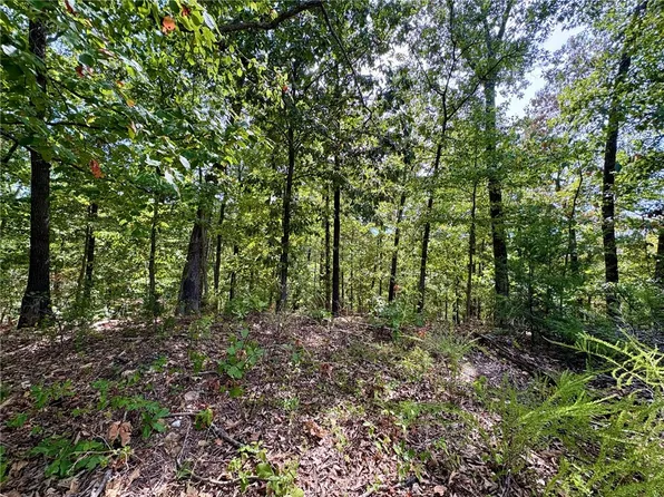 3 Burn Ln #3, Bella Vista, AR 72714