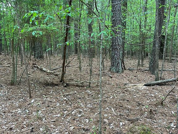 3rd image of 77 Puddle Stone Ln Lot 77