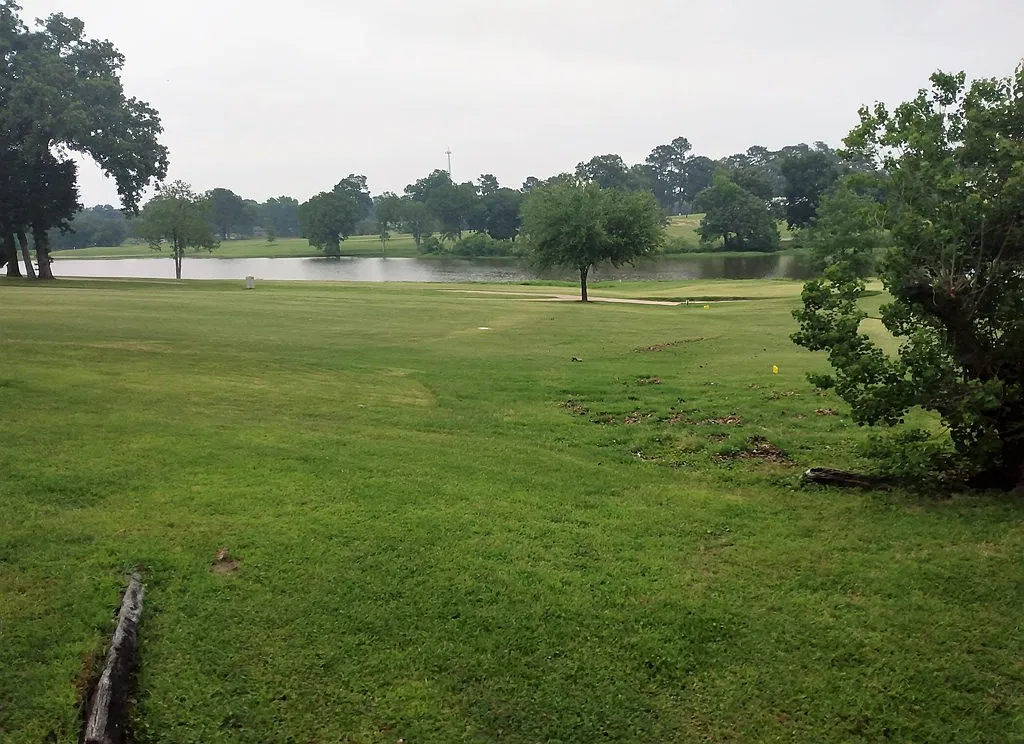 1 bed, 2.0 bath, 868 sqft, $1,000 — Photo 2
