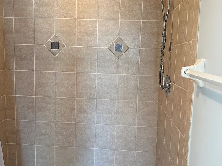 Primary Shower