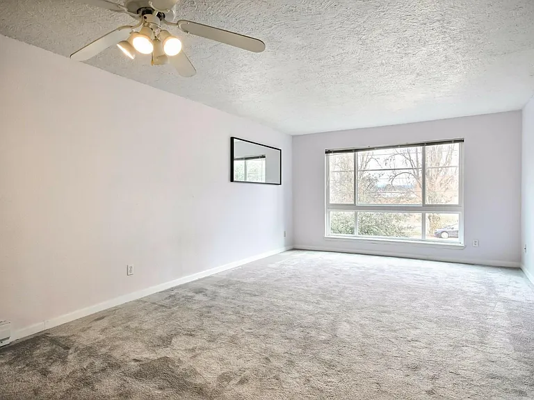 Main living area