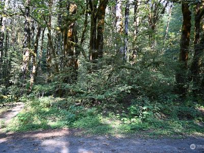 10048 Foss River Place NE, Skykomish, WA, 98288