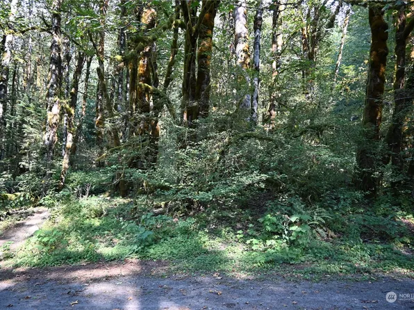 10048 Foss River Place NE, Skykomish, WA 98288