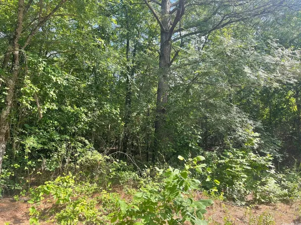 (undisclosed Address), Mena, AR 71953