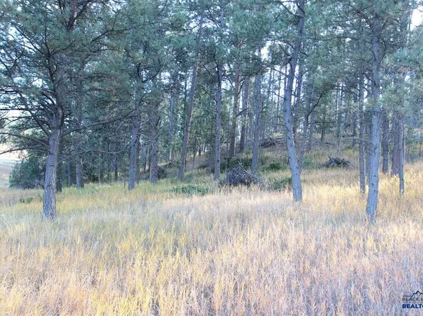 12063 Red Rock Ln, Custer, SD 57730