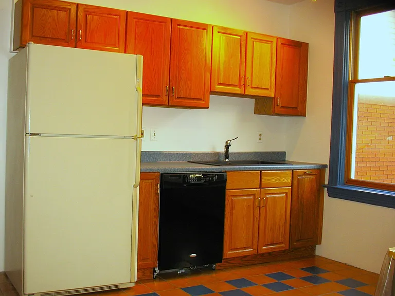Left side of kitchen w/fridge, dishwasher and two-bowl wash sink