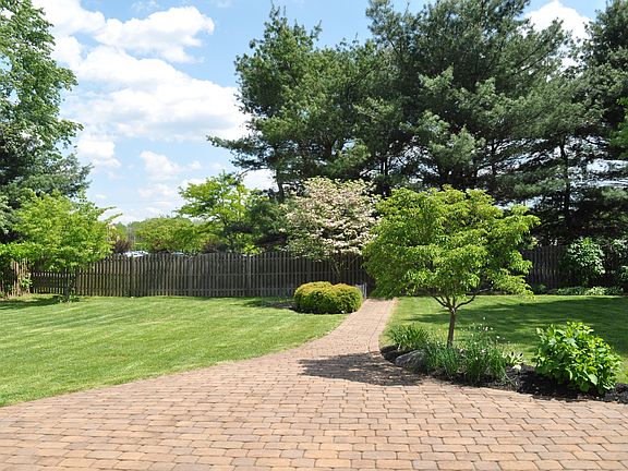 Beautiful back yard