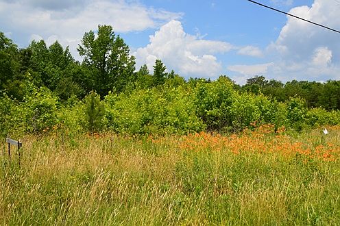 3rd image of 5546 N State Highway 119