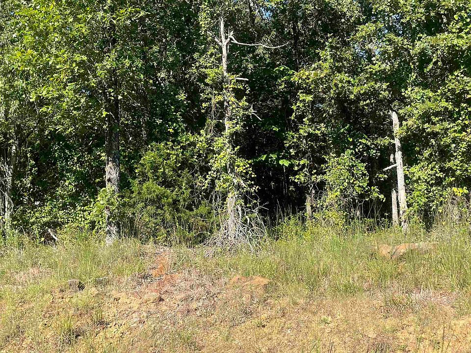 2nd image of 61 Gods Country Rd