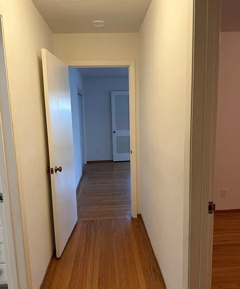 700 Walnut St #2 — Photo 3