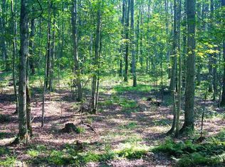 5555 Goshawk Rdg, Traverse City, MI 49684