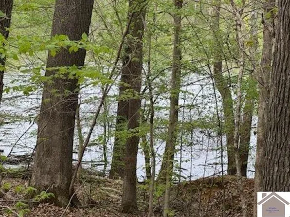 0 Motley Cir, Eddyville, KY 42038