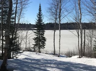 1133 Fire Route A1 St, Gravenhurst, ON P1P1R3