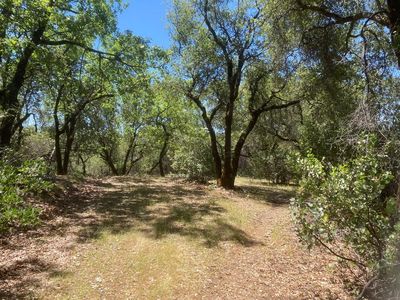 Autumn Dr, Sutter Creek, CA, 95685
