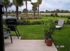back yard