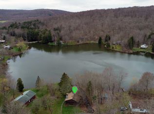27 Tanglewood Ln, Delancey, NY 13752