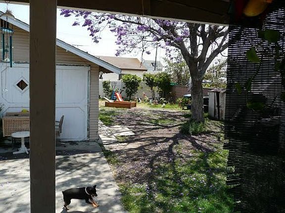 Back Patio