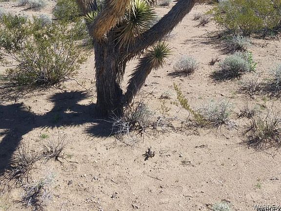 2nd image of 11495 Rocky Pt